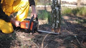 Best Emergency Tree Removal  in Barnesville, OH